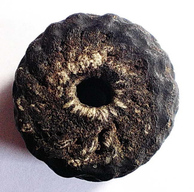  ตะกรุดพิสมรใบลาน หลวงพ่อแก้ว วัดพวงมาลัย 