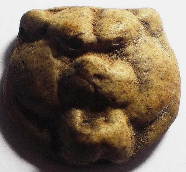 หัวเสือ(หน้ากากเสือ) อุดผงลงจารย์ ลป.หลิว