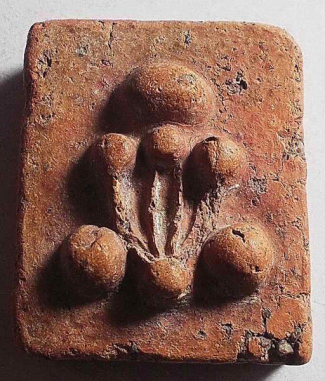 พระปิดตา อจ.หนู วัดโพธิ์ท่าเตียน