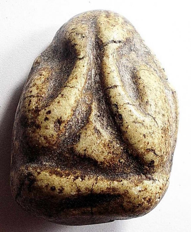 ปิดตาเนื้อผงพุทธคุณ หลังเรียบ ลพ.โด่ วัดนามะตูม ชลบุรี