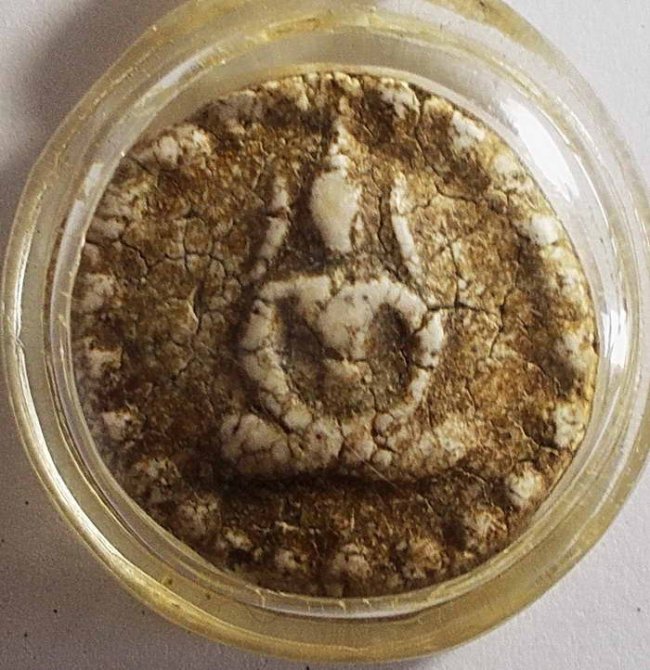 จันทร์ลอยข้างเม็ด เนื้อผง วัดประสาท ปี 2506