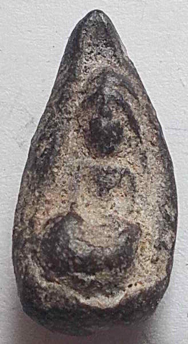 พระพิจิตร เม็ดน้อยหน่า