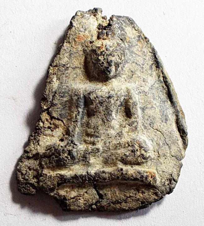 นางกำแพงกลีบบัว ชินเงิน 