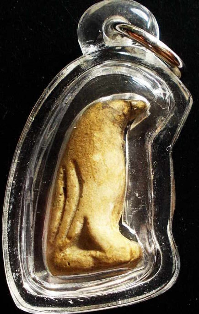 นกสาริกาจับปากโลง ลพ.สนิท วัดลำบัวลอย นครนายก