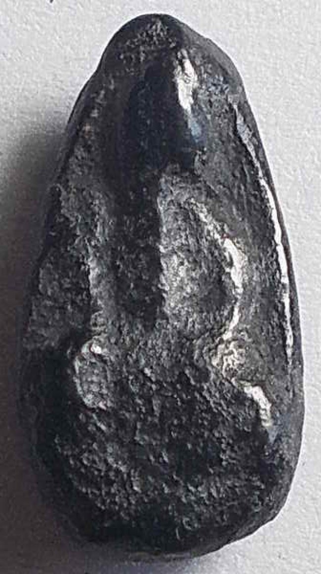 พระพิจิตรเขี้ยวงู