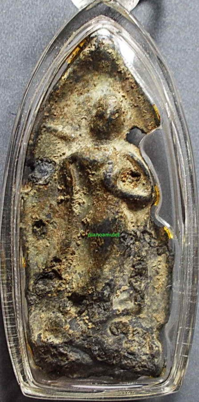 ลีลากำแพงขาว ชินเงิน กำแพงเพชร