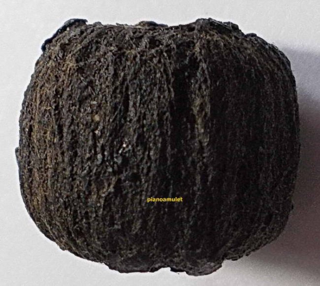 ตะกรุด พิสมร ลป.เหรียญ วัดบางระโหง