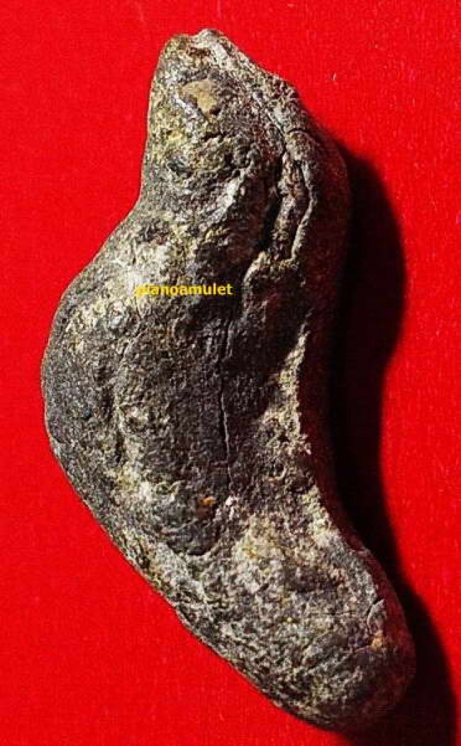 นกสาริกายุคแรก หลวงพ่อน่วม วัดหลวงครู นครศรีธรรมราช