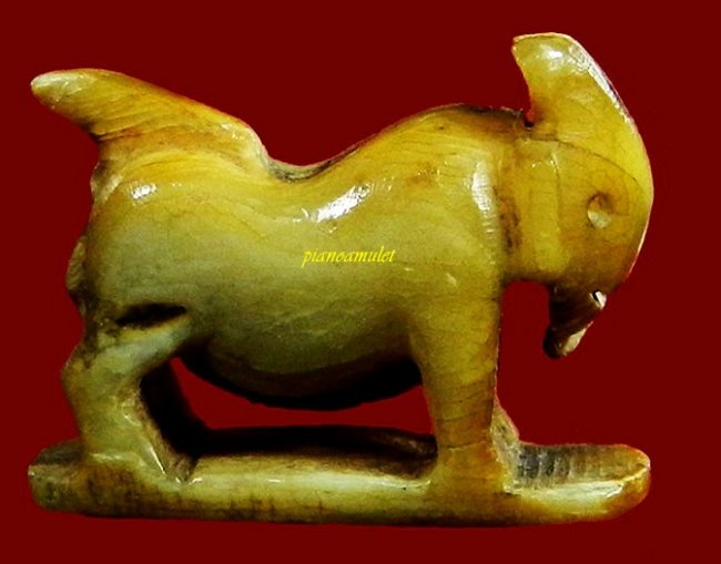 แพะเขี้ยวเสือแกะเก่าใต้ฐานลงจารย์