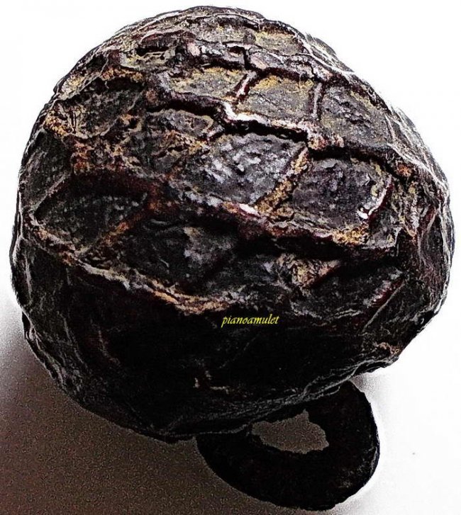 หมากทุย ลป.เอี่ยม วัดหนัง