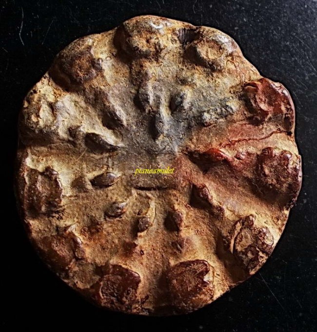 พระงบน้ำอ้อย กรุเตาทุเรียง จังหวัดสุโขทัย พิมพ์ 12 พระองค์