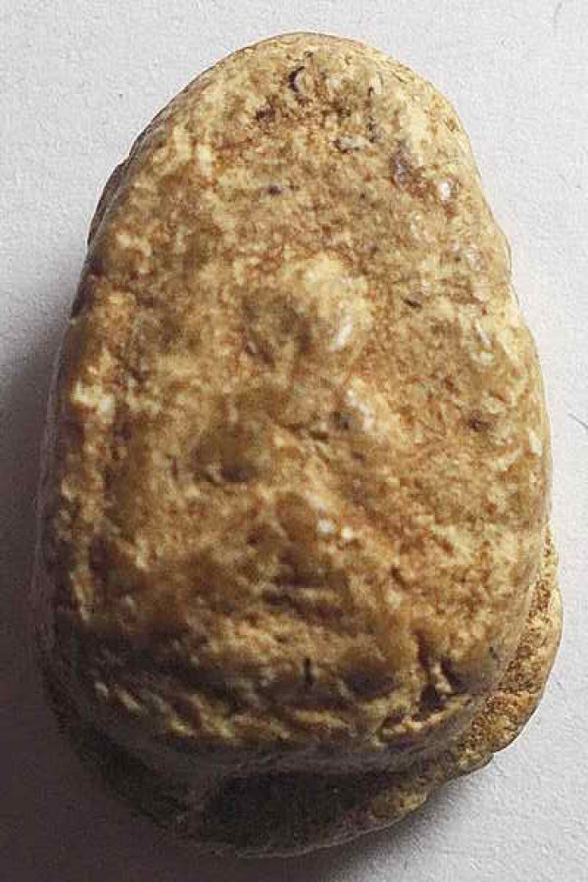 ปิดตาเม็ดบัวเก่า