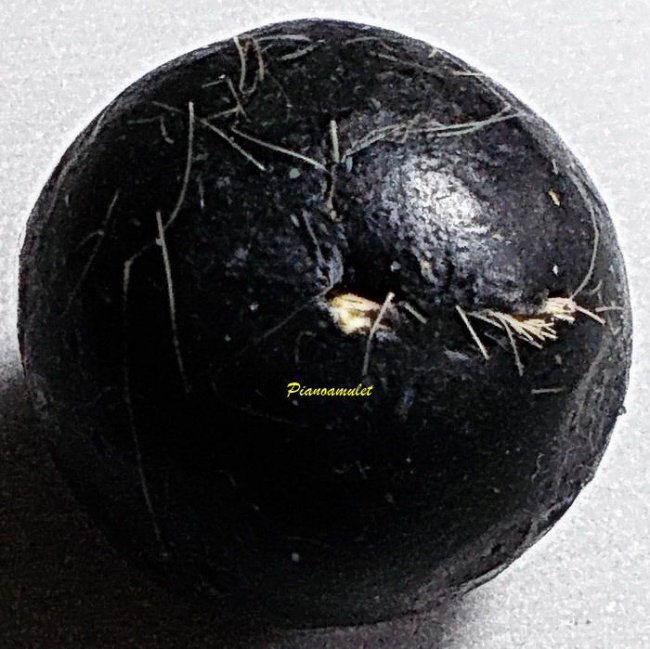 ลูกอมหนังเสือ ลพ.โอด วัดจันเสน นครสวรรค์