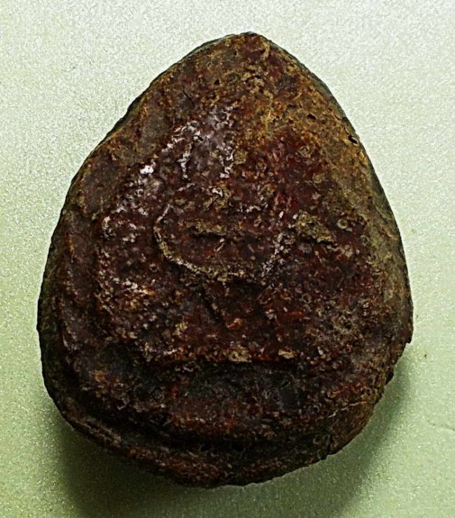 หลวงพ่อพริ้ง วัดบางปะกอก กรุงเทพฯ พิมพ์กรมหลวงชุมพรฯทรงราชสีห์ 