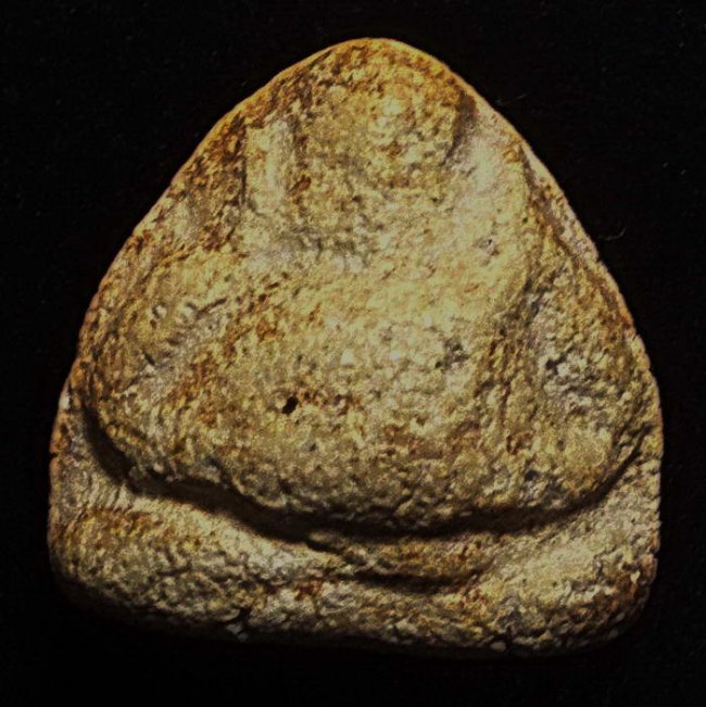 พระกรุอัมพวา เนื้อผงน้ำมัน พิมพ์สังกัจจายน์