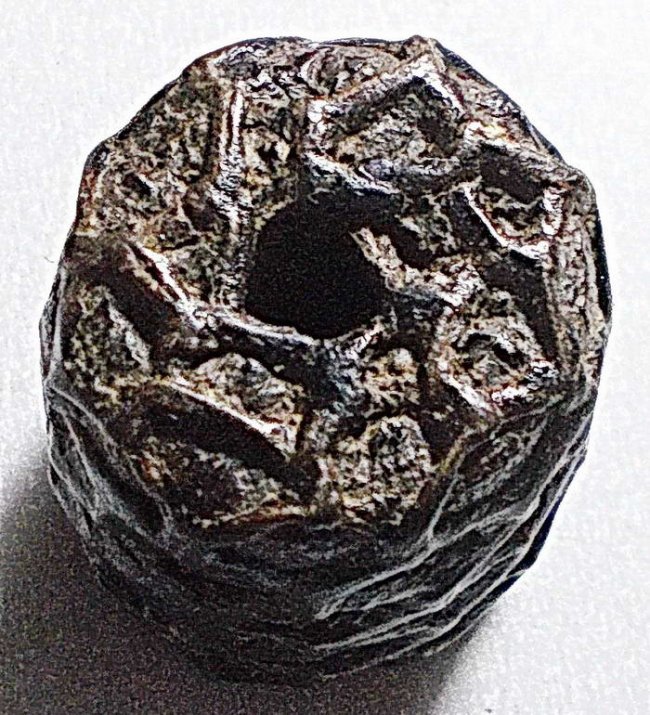 ตะกรุดพิสมร ลายจักรนารายณ์ หลวงพ่อแก้ว วัดพวงมาลัย