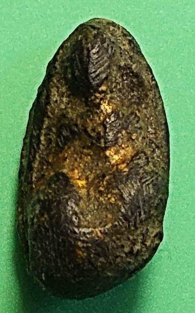 พระพิจิตร เขี้ยวงู กรุท่าฉนวน