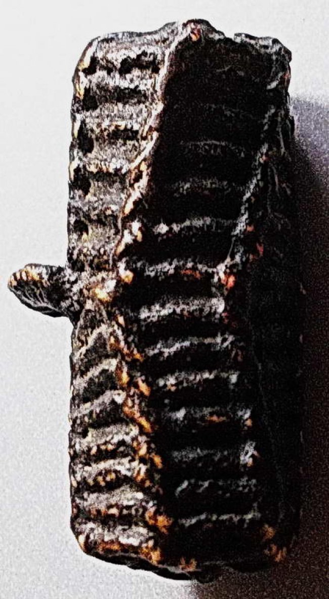 ตะกรุดไม้ครูหลวงปู่ภู วัดอินทร์