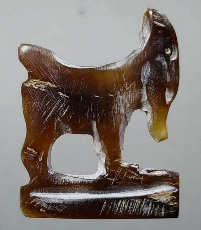 แพะเขาควายเผือกแกะเก่าลงจารย์