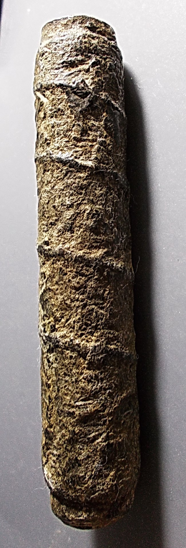 ตะกรุดจันทร์เพ็ญ ลป.ศุข วัดปากคลองมะขามเฒ่า