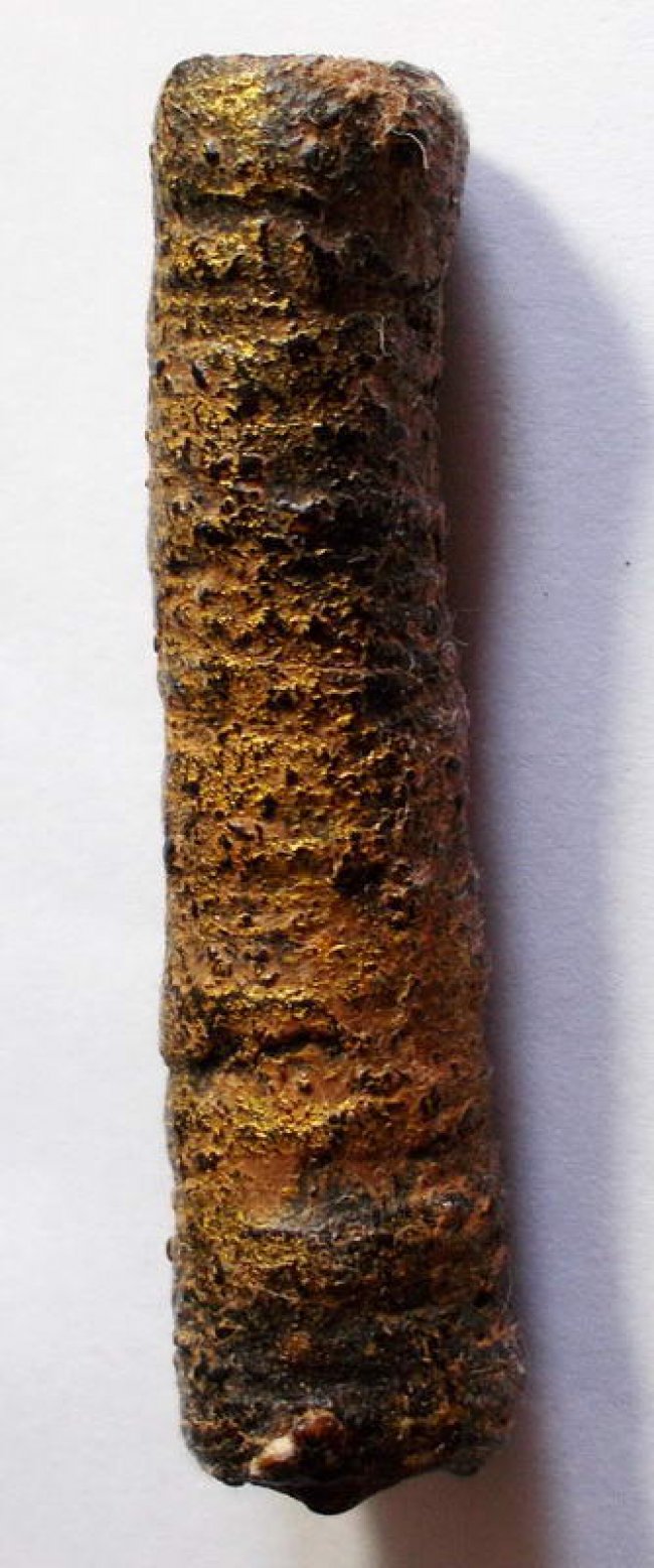 ตะกรุดหนังหน้าผากเสือ หลวงปู่บุญ วัดกลางบางแก้ว นครปฐม ตะกรุดหนังหน้าผากเสือ หลวงปู่บุญ วัดกลางบางแก้ว นครปฐม