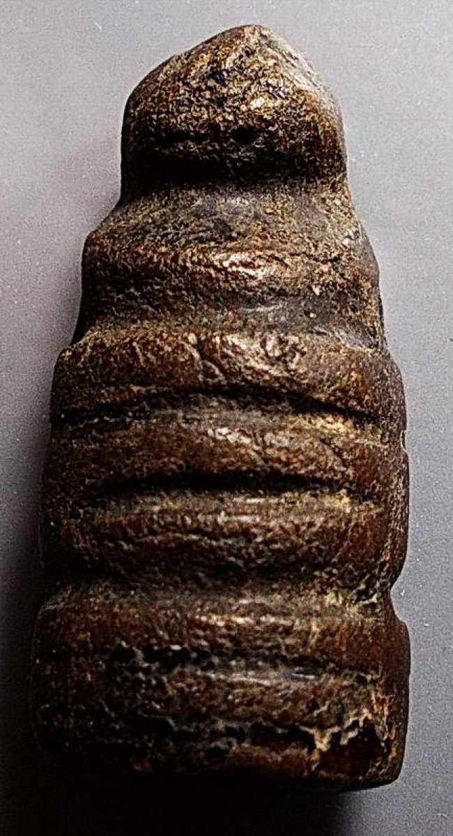 องคต หลวงพ่อปาน วัดบางกระสอบ สมุทรปราการ