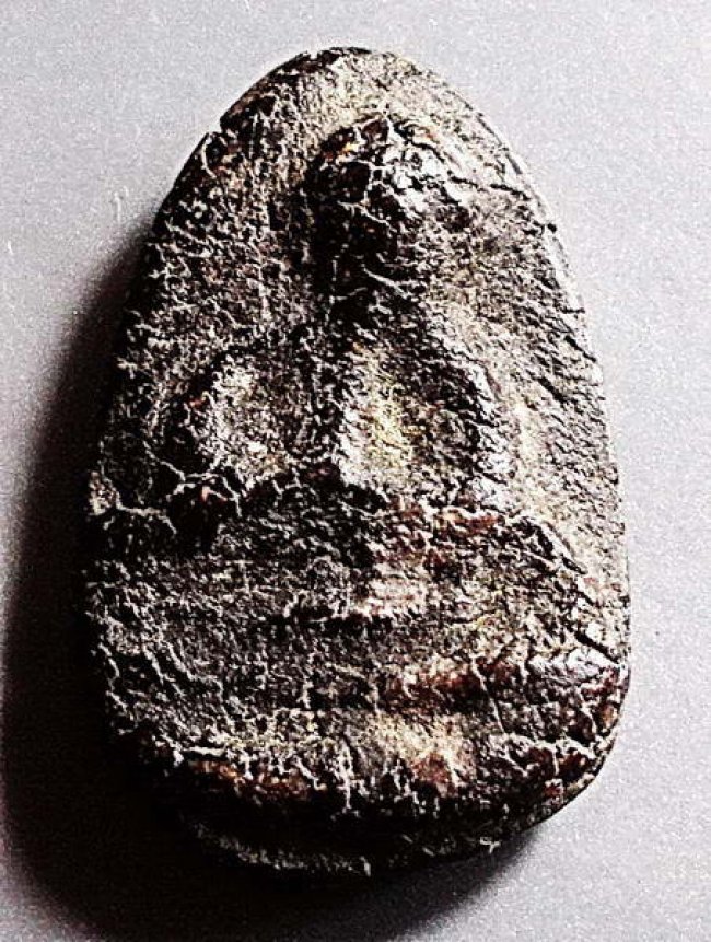 พระปิดตาหลวงปู่จีน วัดท่าลาด พิมพ์ไม้ค้ำเกวียน  