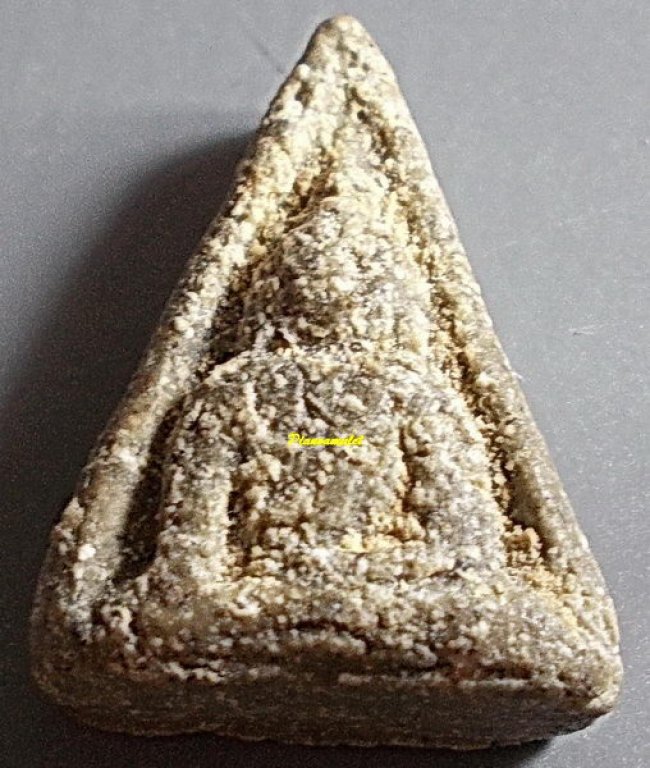 นางพญาปี 29 (นางเศรษฐี ) หลวงพ่อชาญณรงค์ อภิชิโต