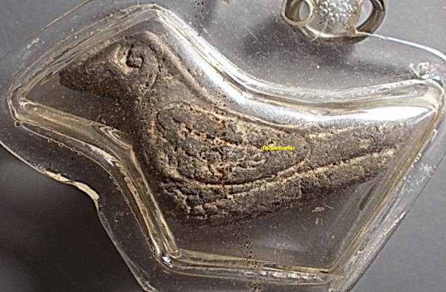 นกสาริกายุคแรก หลวงพ่อน่วม วัดหลวงครู นครศรีธรรมราช