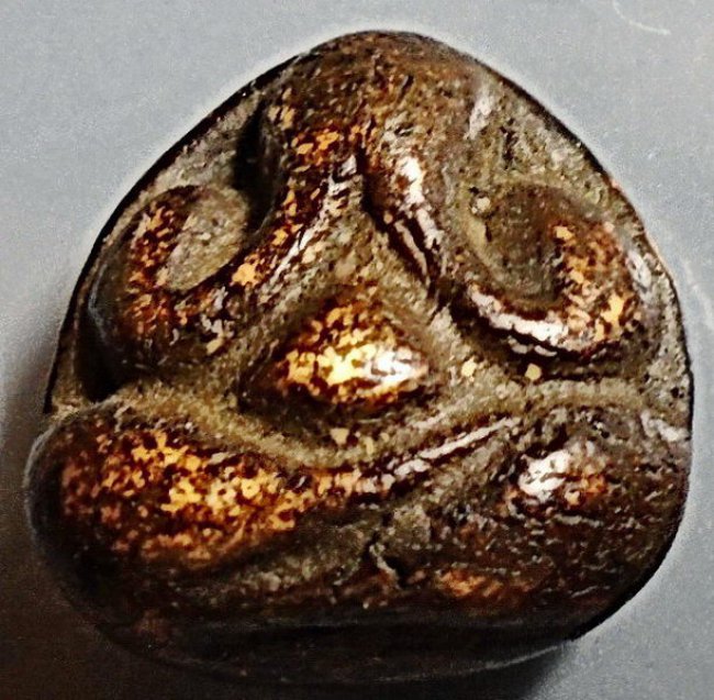 พระปิดตา ลพ.โต วัดเนินสุทธาวาส ชลบุรี