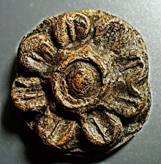 ดอกพระธาตุ เนื้อดิน กรุวัดมหาวัน ลำพูน สีดอกพิกุลแห้ง