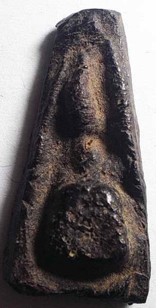 พระว่านจำปาศักดิ์