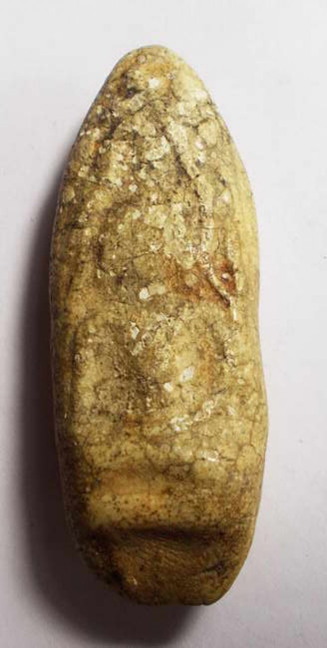 ขุนแผนไข่ผ่าซีก หลังยันต์ กรุทัพข้าว สุโขทัย